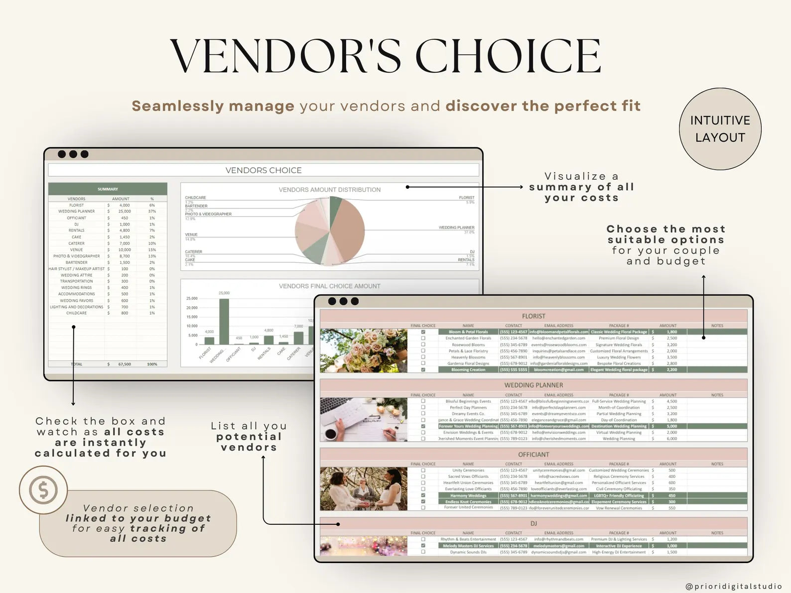 Wedding Planner Template Wedding Tracking Spreadsheet Wedding Gift for Bride Wedding Checklist Wedding Timeline Guest List Wedding Itinerary