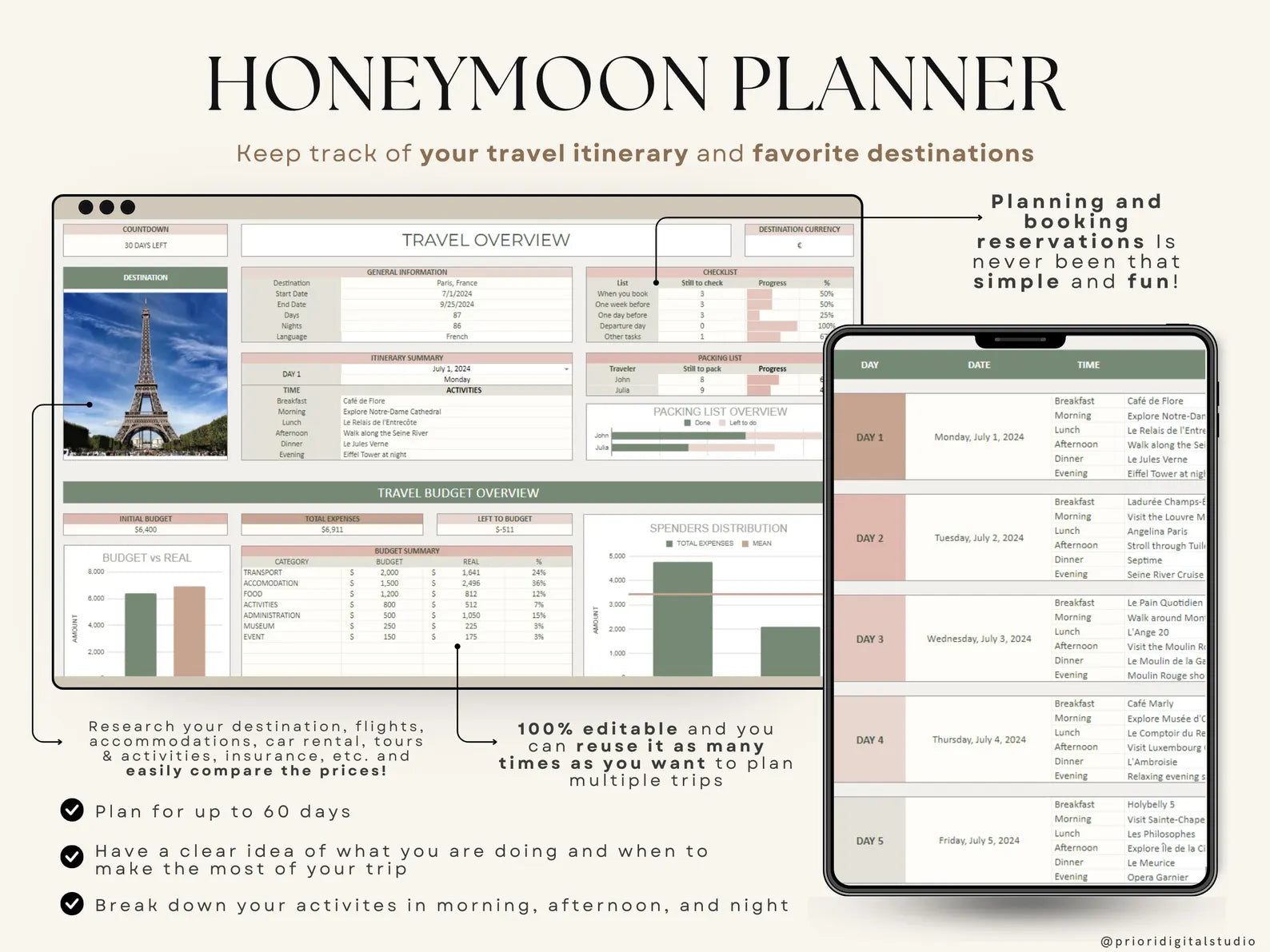 Wedding Planner Template Wedding Tracking Spreadsheet Wedding Gift for Bride Wedding Checklist Wedding Timeline Guest List Wedding Itinerary
