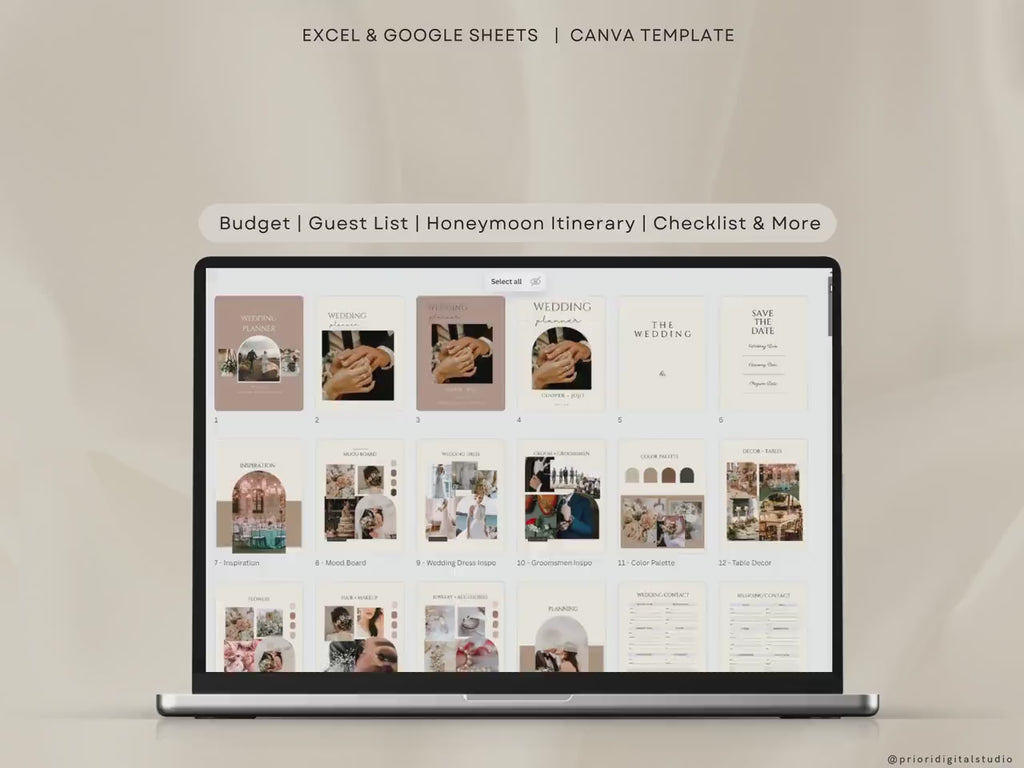 Wedding Planner Template Wedding Tracking Spreadsheet Wedding Gift for Bride Wedding Checklist Wedding Timeline Guest List Wedding Itinerary